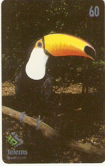 MS-080 - Tucano
