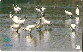 MS-076 - Cabeças Seca