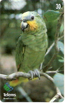 MS-085 - Papagaio Boiadeiro