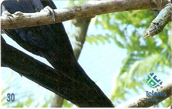 MS-128 - Araras Azuis - 4/4