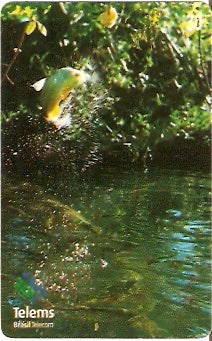 MS-159 - Peixe na Isca - 1/7