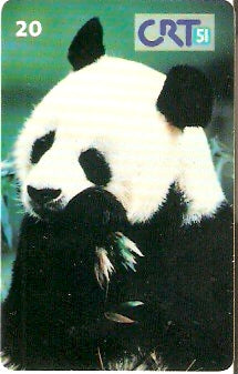 RS-0181M - Panda Gigante