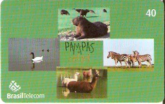 RS-0839 - Pampas Safari - 40C - 01/11