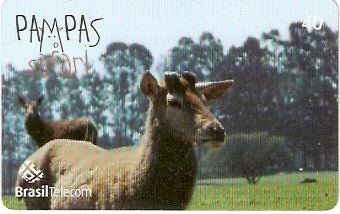 RS-0842 - Pampas Safari - 40C - 04/11