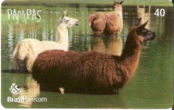 RS-0843 - Pampas Safari - 40C - 05/11