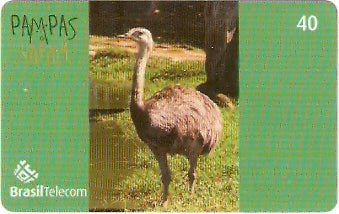 RS-0845 - Pampas Safari - 40C - 07/11