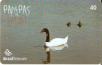 RS-0846 - Pampas Safari - 40C - 08/11