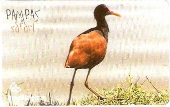 RS-0847 - Pampas Safari - 40C - 09/11