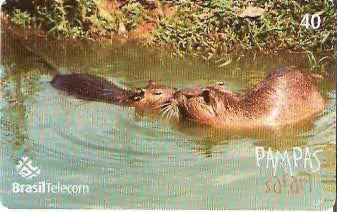 RS-0848 - Pampas Safari - 40C - 10/11