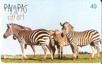 RS-0840 - Pampas Safari - 40C - 02/11