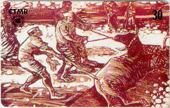 CTMR-055M - Charqueadas - 10/12