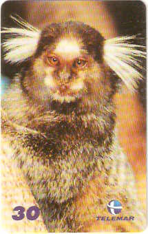 AL-206 - Primatas - 07/10