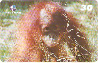 AL-147 - Primatas - 04/10