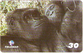 AL-146 - Primatas - 03/10