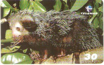 AL-207 - Primatas - 08/10