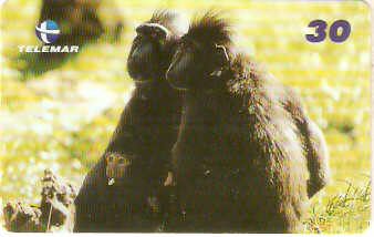 AL-204 - Primatas - 01/10