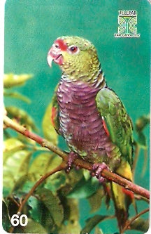 PR-129 - Aves - 01/14 60C