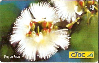CTBC-T-0787 - Flores do Cerrado - 2/8