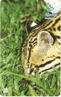 RO-114 - Jaguatirica - 3/4