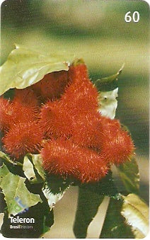 RO-170 - Urucum