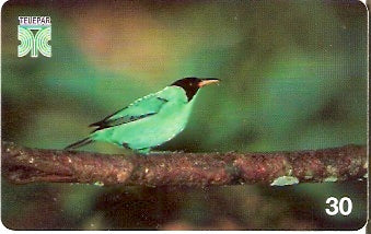 PR-170 - Aves - 03/14
