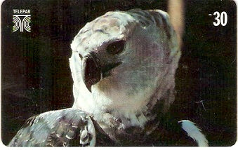 PR-191M - Aves - 07/14