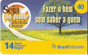 PR08-27 - Medula Óssea