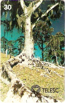 SC-118 - São Pedro de Alcântara