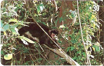 SC-123 - Canto dos Araças