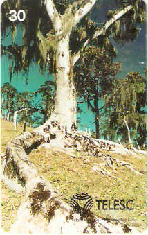 SC-118M - São Pedro de Alcântara