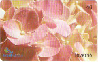SCC03-36 - Inverno - 3/4