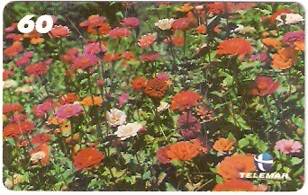 BA-584 - Primavera