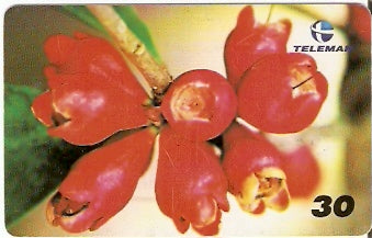 BA-608 - Frutas - 07/10