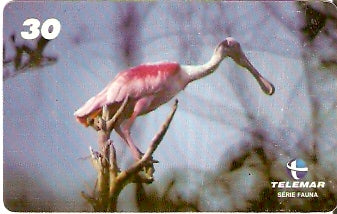 AP-092 - Pássaro Culhereira II