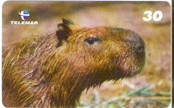 BA-760 - Grandes Animais - 09/10