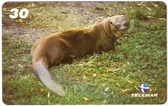 BA-752 - Grandes Animais - 01/10