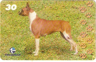 BA-766 - Cachorros - 01/10