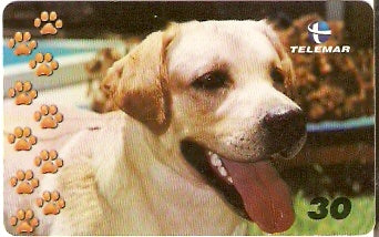 BA-768 - Cachorros - 03/10