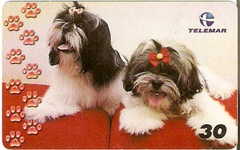 BA-769 - Cachorros - 04/10