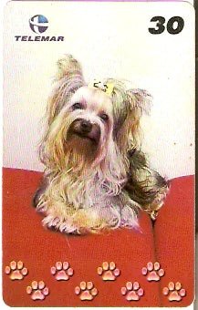 BA-770a - Cachorros - 05/10