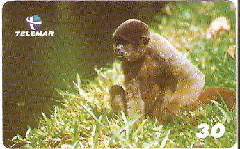 BA-788 - Primatas - 06/10