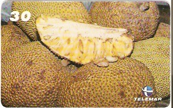 MA-164 - Frutas - 02/20