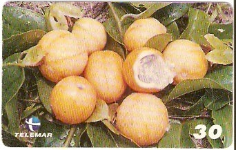 MA-165 - Frutas - 03/20