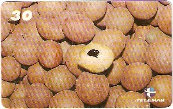 MA-174 - Frutas - 12/20