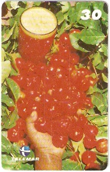 MA-171 - Frutas - 09/20