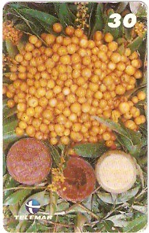 MA-180 - Frutas - 18/20