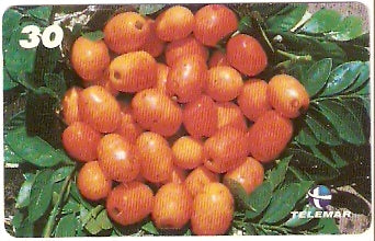 MA-178 - Frutas - 16/20