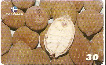 MA-182 - Frutas - 20/20