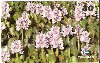 MA-218 - Viana - 01/10