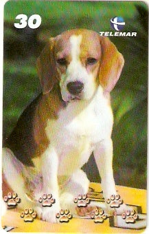 BA-883 - Cachorros - 08/10